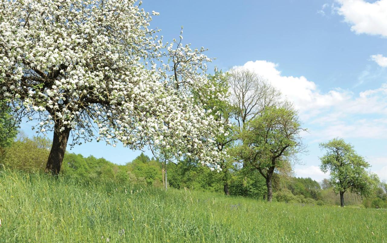 Gasthof Mittendorfer Haag am Hausruck ภายนอก รูปภาพ